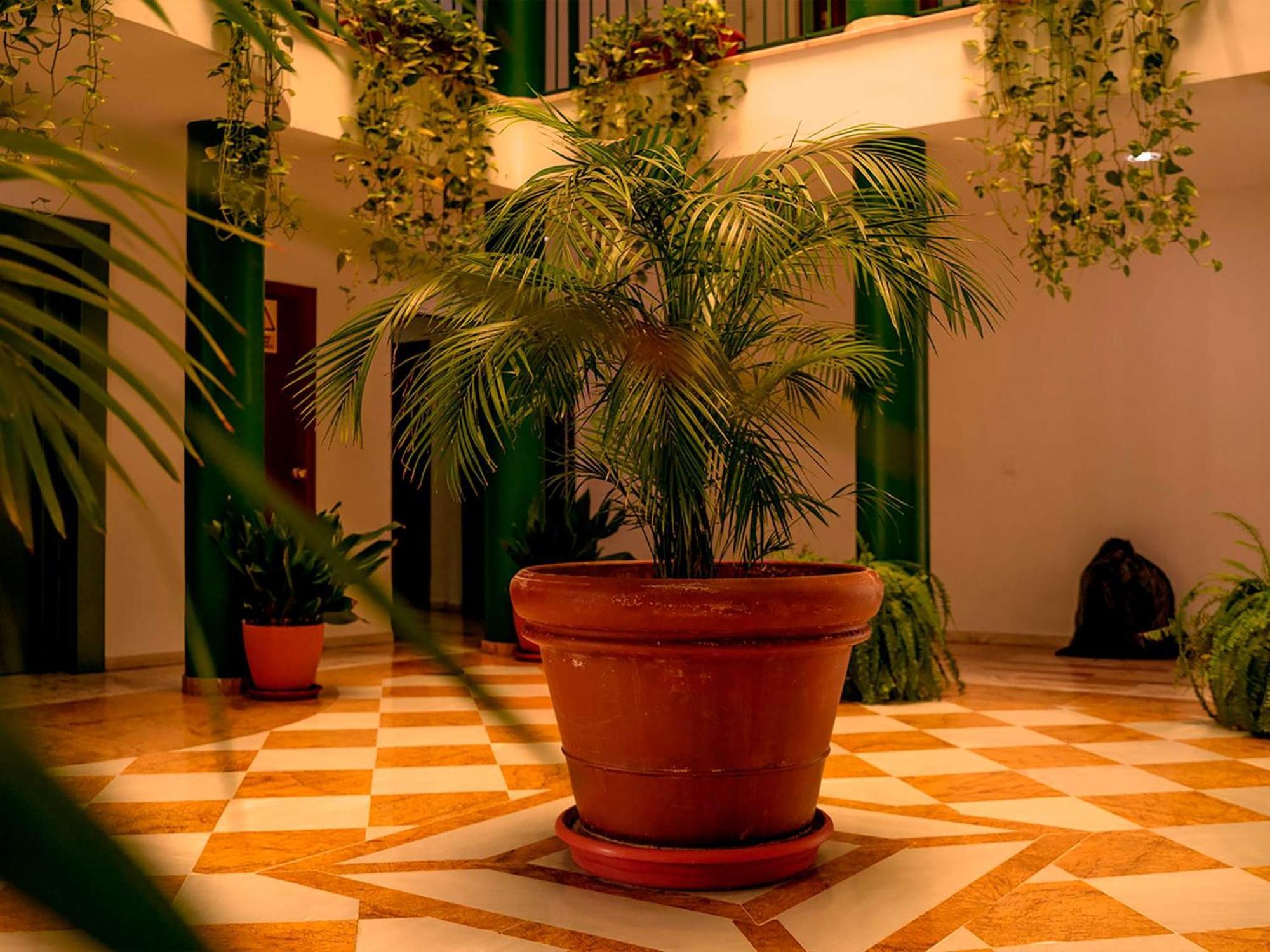 Apartamentos Vertice Bib Rambla Sevilla Dış mekan fotoğraf